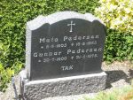 Gunnar Pedersen.JPG